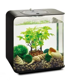 biOrb® Aquariumdeko Decor Set 15 l Sommer Sale