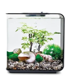 biOrb® Aquariumdeko Decor Set 15 l Sommer Sale