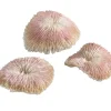 biOrb® Deko > Aquariumdeko Plattenkorallen, 3er-Set