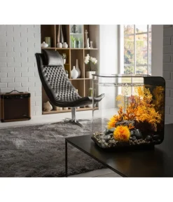 biOrb® Einsteiger Aquarien|Einzel Aquarien - Aquarium FLOW 30 LED Schwarz