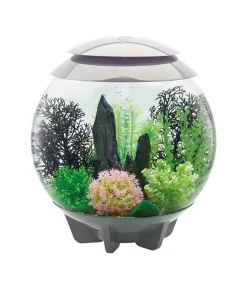 biOrb® Einsteiger Aquarien|Einzel Aquarien > Aquarium HALO 30 MCR