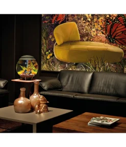 biOrb® Einsteiger Aquarien|Einzel Aquarien > Aquarium HALO 30 MCR