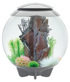 biOrb® Einzel Aquarien - Aquarium HALO 60 MCR Grau