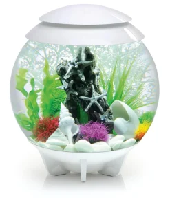 biOrb® Einsteiger Aquarien|Einzel Aquarien - Aquarium HALO 30 MCR Weiß