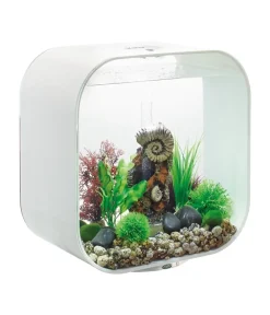 biOrb® Einsteiger Aquarien|Einzel Aquarien - Aquarium LIFE 30 MCR Weiß