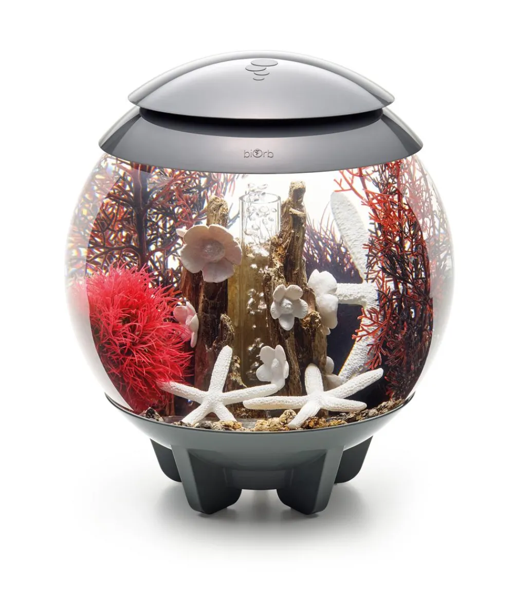 biOrb® Deko - Aquarumdeko Decor Set 15 l Red Forest