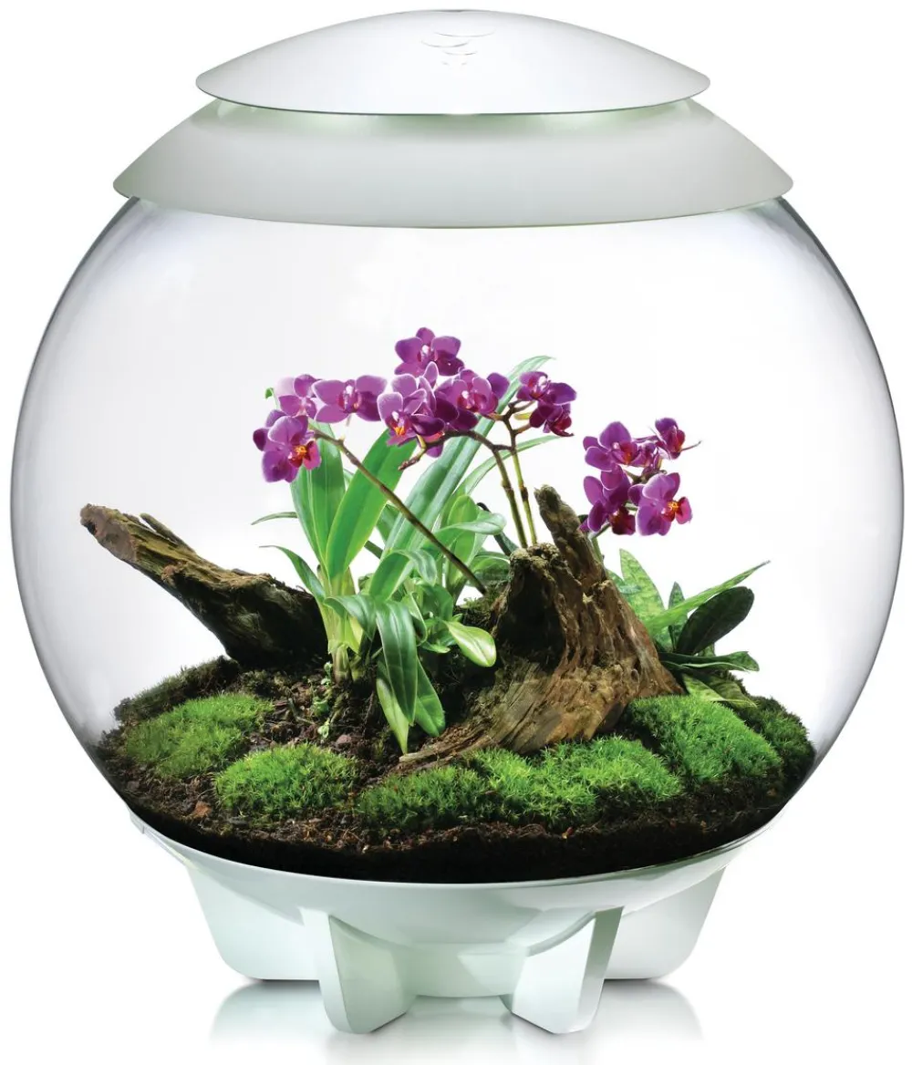 biOrb® Terrarium AIR 60 Weiß Sale