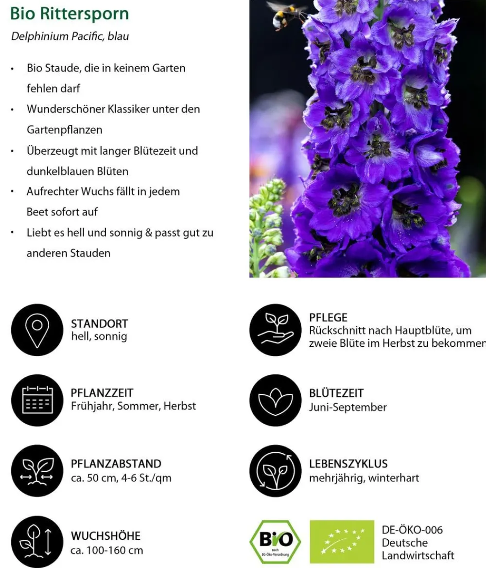 Dehner Bio Bio Rittersporn, dunkel Blau Discount