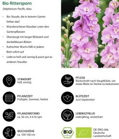 Dehner Bio Sommerstauden|Bio Stauden - Bio Rittersporn, rosa Zartrosa