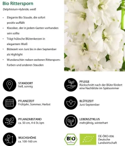 Dehner Bio Sommerstauden|Bio Stauden > Bio Rittersporn,