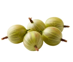 Dehner Bio Bio Stachelbeere 'Mucurines' Outlet