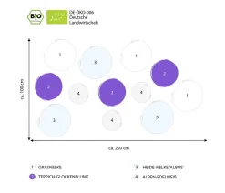 Dehner Bio Steingartenstauden|Bio Stauden > Bio Stauden-Set Alpengarten, 12-teilig