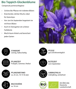 Dehner Bio Steingartenstauden|Bio Stauden > Bio Stauden-Set Alpengarten, 12-teilig
