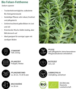 Dehner Bio Bio Stauden|Gräser- & Stauden-Sets - Bio Stauden-Set Alpenliebe, Landlust Kollektion, 18-teilig