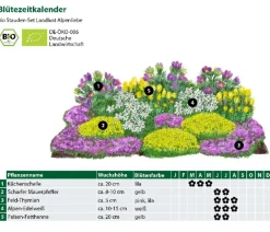 Dehner Bio Bio Stauden|Gräser- & Stauden-Sets - Bio Stauden-Set Alpenliebe, Landlust Kollektion, 18-teilig