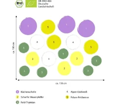 Dehner Bio Bio Stauden|Gräser- & Stauden-Sets - Bio Stauden-Set Alpenliebe, Landlust Kollektion, 18-teilig