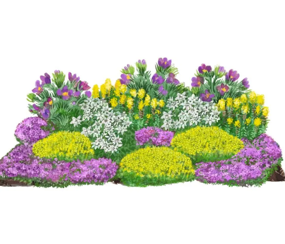 Dehner Bio Bio Stauden|Gräser- & Stauden-Sets - Bio Stauden-Set Alpenliebe, Landlust Kollektion, 18-teilig