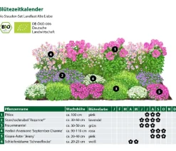 Dehner Bio Bio Stauden|Gräser- & Stauden-Sets - Bio Stauden-Set Alte Liebe, Landlust Kollektion, 18-teilig