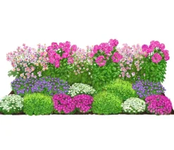 Dehner Bio Bio Stauden|Gräser- & Stauden-Sets - Bio Stauden-Set Alte Liebe, Landlust Kollektion, 18-teilig