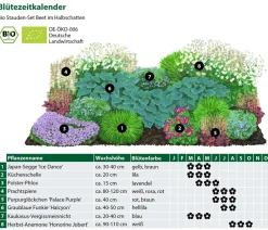 Dehner Bio Bio Stauden|Gräser- & Stauden-Sets - Bio Stauden-Set Beet im Halbschatten, 24-teilig