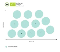 Dehner Bio Bodendecker & Efeu|Bio Stauden - Bio Stauden-Set es Meer, 12-teilig Blau