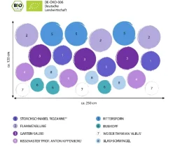 Dehner Bio Bio Stauden|Gräser- & Stauden-Sets > Bio Stauden-Set e Stunde, Landlust Kollektion, 24-teilig