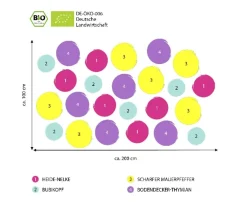 Dehner Bio Sommerstauden|Bio Stauden > Bio Stauden-Set Bodendecker Patchwork, 24-teilig