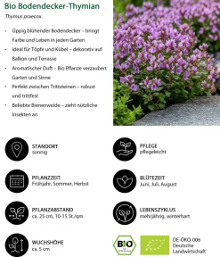 Dehner Bio Sommerstauden|Bio Stauden > Bio Stauden-Set Bodendecker Patchwork, 24-teilig