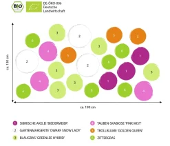 Dehner Bio Bio Stauden|Gräser- & Stauden-Sets > Bio Stauden-Set Einsteiger-Blütenmix, 24-teilig