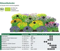 Dehner Bio Gräser- & Stauden-Sets|Bio Stauden > Bio Stauden-Set Es wird durchgeblüht, 24-teilig