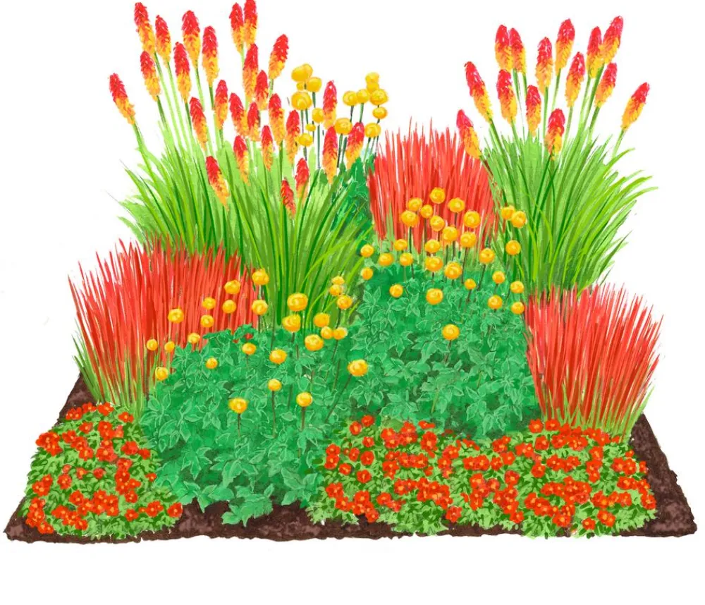 Dehner Bio Bio Stauden|Gräser- & Stauden-Sets > Bio Stauden-Set Feuerwerk im Garten, Landlust Kollektion, 12-teilig