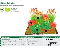 Dehner Bio Bio Stauden|Gräser- & Stauden-Sets > Bio Stauden-Set Feuerwerk im Garten, Landlust Kollektion, 12-teilig