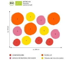 Dehner Bio Bio Stauden|Gräser- & Stauden-Sets > Bio Stauden-Set Feuerwerk im Garten, Landlust Kollektion, 12-teilig