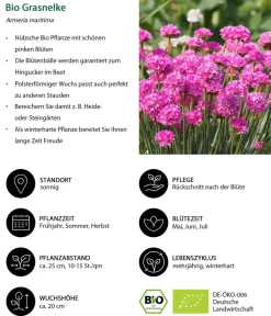 Dehner Bio Gräser- & Stauden-Sets|Sommerstauden > Bio Stauden-Set Großer Alpengarten, 24-teilig