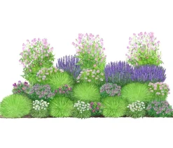 Dehner Bio Bio Stauden-Set Heimatgarten, Landlust Kollektion, 24-teilig New