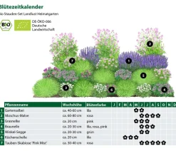Dehner Bio Bio Stauden-Set Heimatgarten, Landlust Kollektion, 24-teilig New