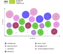 Dehner Bio Bio Stauden-Set Heimatgarten, Landlust Kollektion, 24-teilig New