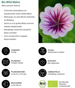 Dehner Bio Bio Stauden-Set Landhausgarten, 12-teilig Discount