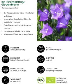 Dehner Bio Bio Stauden-Set Landhausgarten, 12-teilig Discount