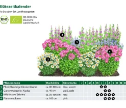 Dehner Bio Bio Stauden-Set Landhausgarten, 12-teilig Discount