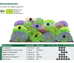 Dehner Bio Bio Stauden|Gräser- & Stauden-Sets > Bio Stauden-Set Lange Blüte, Landlust Kollektion, 18-teilig