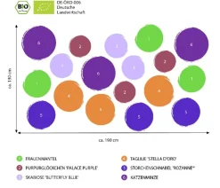 Dehner Bio Bio Stauden|Gräser- & Stauden-Sets > Bio Stauden-Set Lange Blüte, Landlust Kollektion, 18-teilig