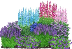 Dehner Bio Bio Stauden|Gräser- & Stauden-Sets - Bio Stauden-Set Romantischer Garten, 12-teilig