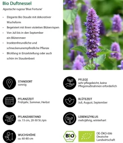 Dehner Bio Bio Stauden|Gräser- & Stauden-Sets - Bio Stauden-Set Romantischer Garten, 12-teilig