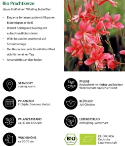 Dehner Bio Bio Stauden|Gräser- & Stauden-Sets > Bio Stauden-Set Rosenfreunde, Landlust Kollektion, 18-teilig