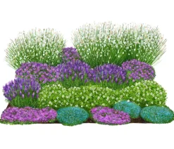 Dehner Bio Bio Stauden|Gräser- & Stauden-Sets > Bio Stauden-Set Rosenfreunde, Landlust Kollektion, 18-teilig