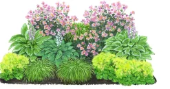 Dehner Bio Gräser- & Stauden-Sets|Blatt- & Schattenstauden - Bio Stauden-Set Schattengarten, 12-teilig Bunt