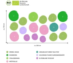 Dehner Bio Bio Stauden|Gräser- & Stauden-Sets - Bio Stauden-Set Schattenparadies, 18-teilig