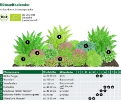 Dehner Bio Bio Stauden|Gräser- & Stauden-Sets - Bio Stauden-Set Schattenparadies, 18-teilig