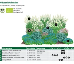 Dehner Bio Bio Stauden|Gräser- & Stauden-Sets - Bio Stauden-Set Schattenplatz, Landlust Kollektion, 18-teilig